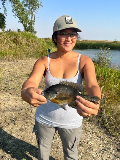 Sunfish