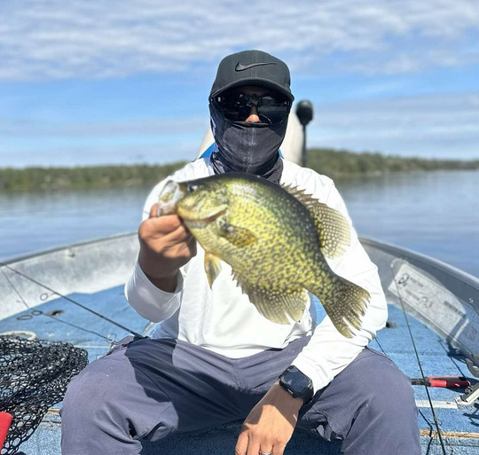 Black Crappie