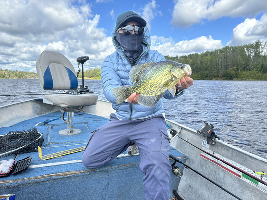 Black Crappie