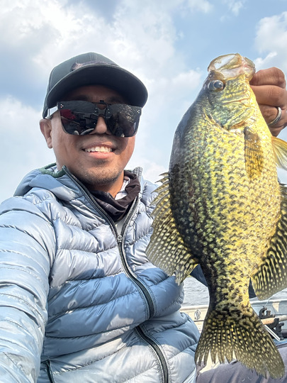 Black Crappie