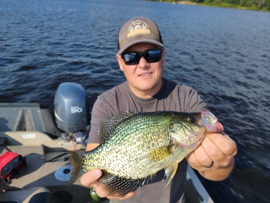 Black Crappie