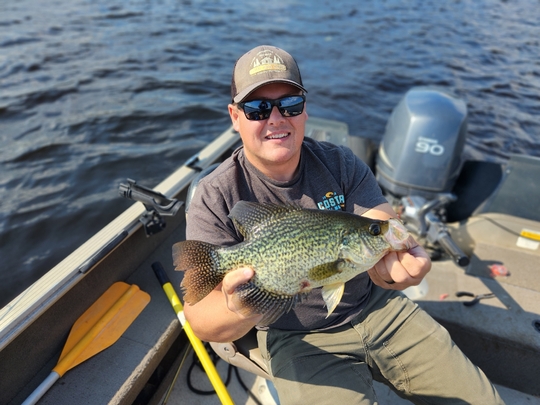 Black Crappie