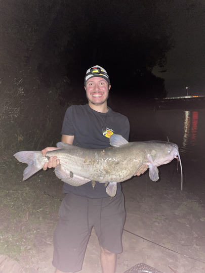 Channel Catfish