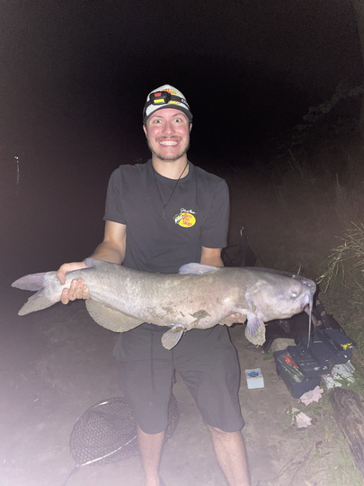 Channel Catfish