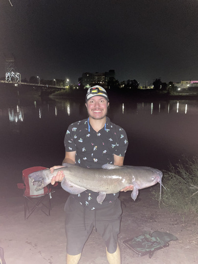 Channel Catfish