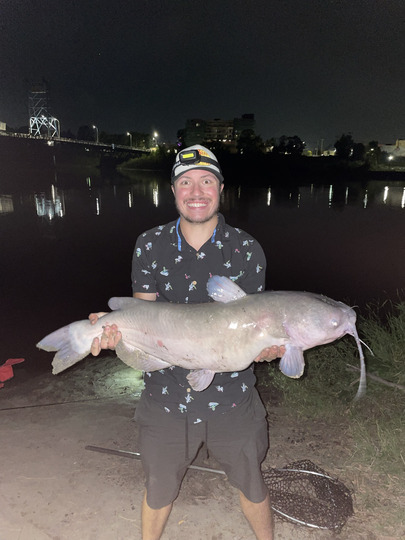 Channel Catfish