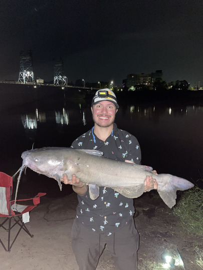 Channel Catfish