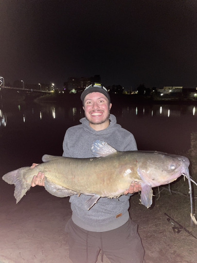 Channel Catfish