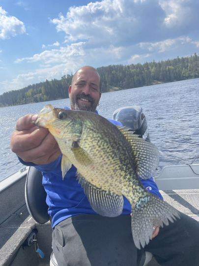 Black Crappie