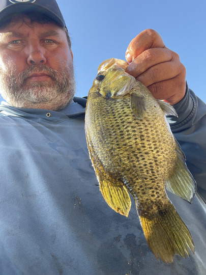 Rock Bass