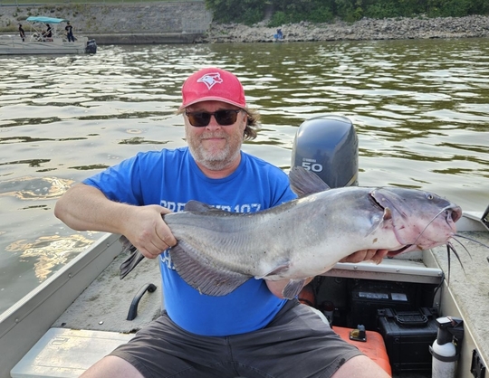 Channel Catfish