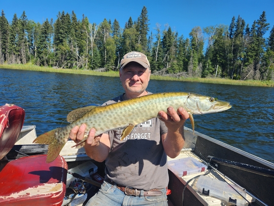 Muskellunge