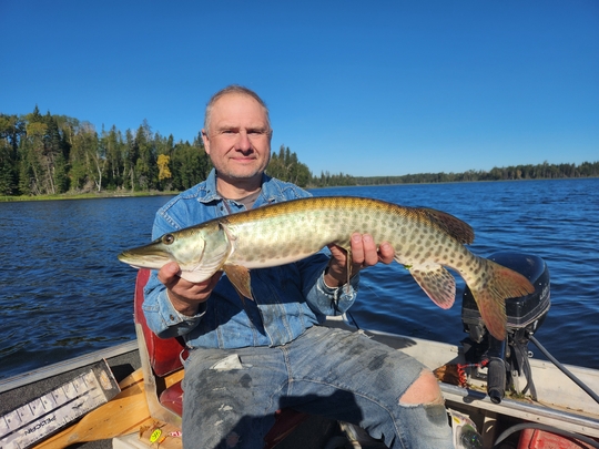 Muskellunge