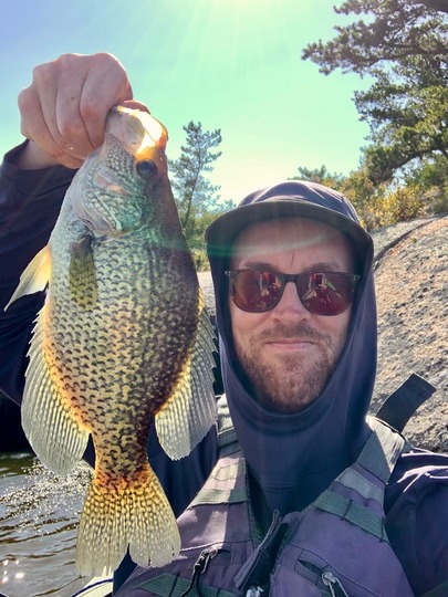 Black Crappie