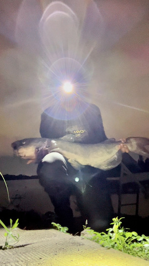 Channel Catfish