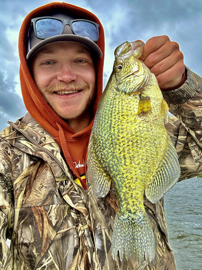 Black Crappie