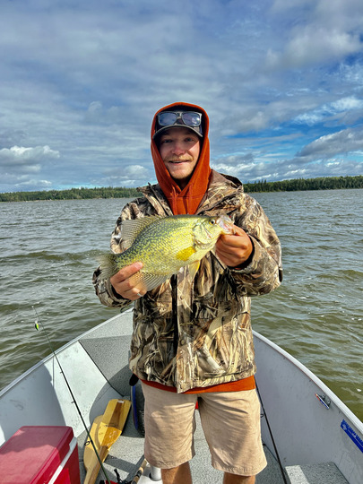 Black Crappie