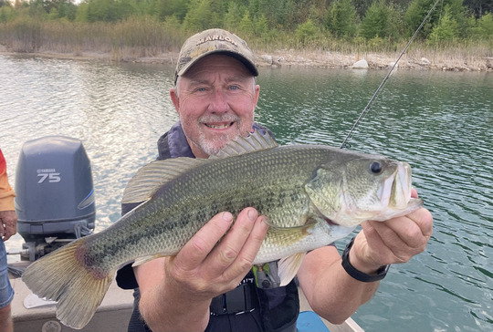 Largemouth Bass