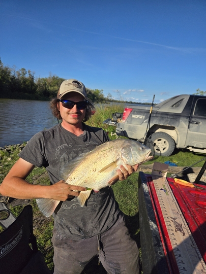 Freshwater Drum