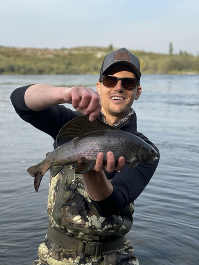 Arctic Grayling