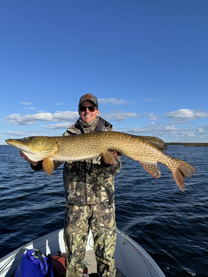 Northern Pike