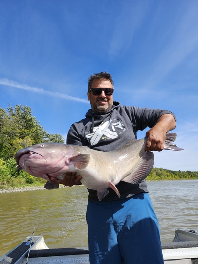 Channel Catfish