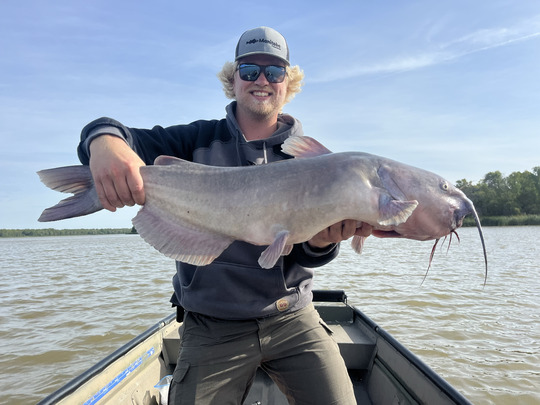 Channel Catfish
