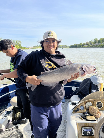 Channel Catfish