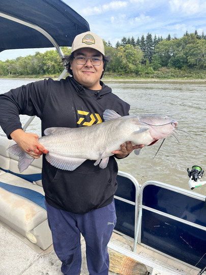 Channel Catfish