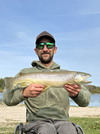 Brown Trout