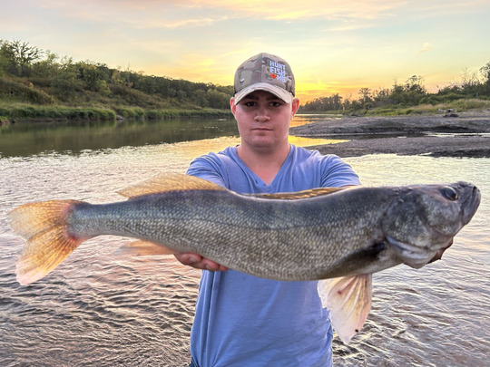 Walleye