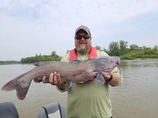 Channel Catfish