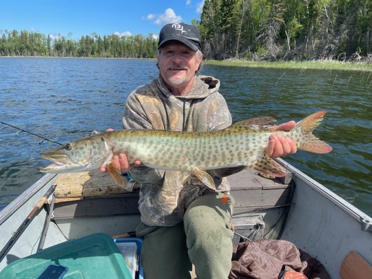 Muskellunge