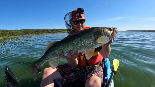 Walleye