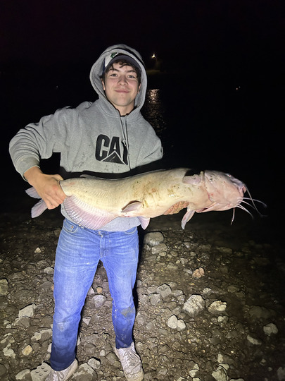 Channel Catfish