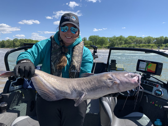 Channel Catfish