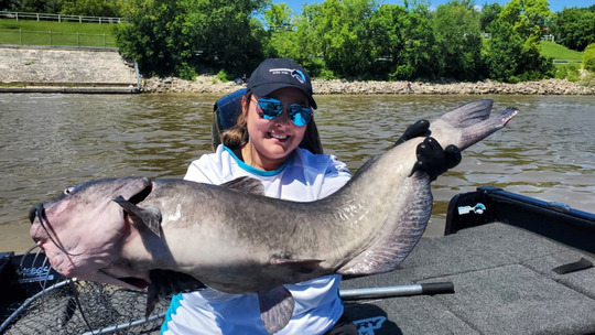 Channel Catfish