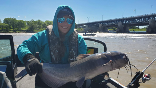 Channel Catfish