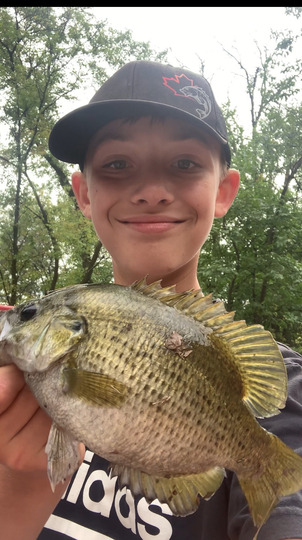 Rock Bass