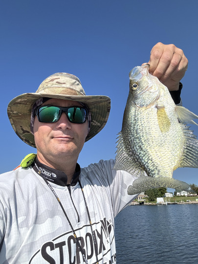 Black Crappie