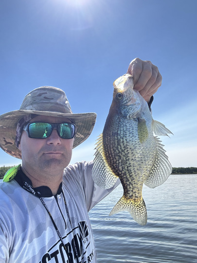 Black Crappie