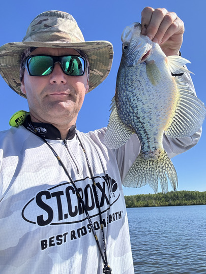 Black Crappie