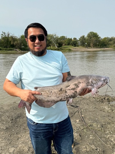 Channel Catfish