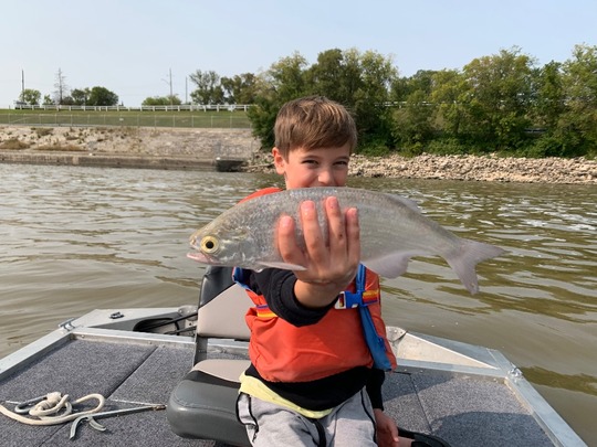 Goldeye