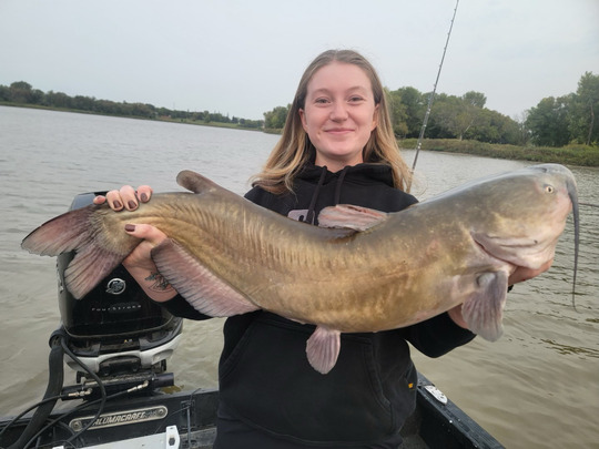 Channel Catfish