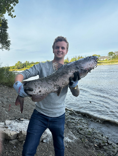 Channel Catfish