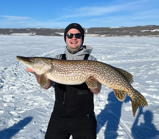 Northern Pike