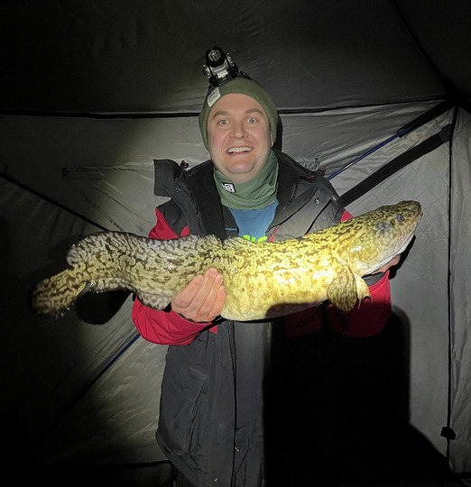 Burbot