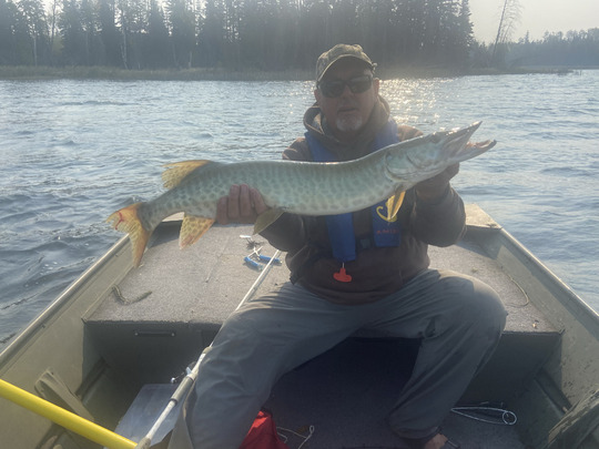 Muskellunge