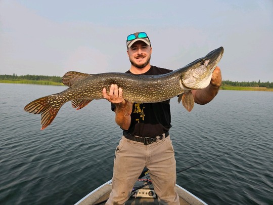 Northern Pike